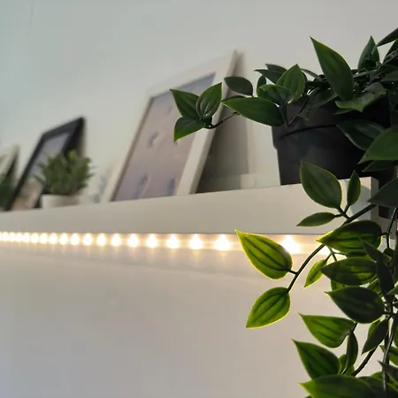 شقة Ospedale Cisanello Bulls House بيزا