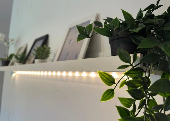 Appartamento Ospedale Cisanello Bulls House Pisa